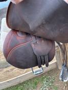 Selle Frederic Butet