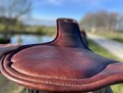 Sangle Bavette Antares courte 50cm