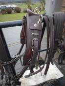 Harnais attelage simple