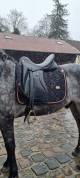 Sella da dressage Zaldi  17.5" - 2011