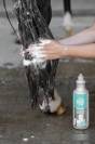 Shampoing Protéines de Blé Magic Brush 1L