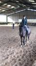 Selle de dressage Vincent Gaffet