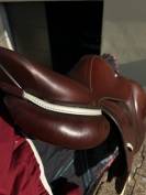 Selle Cwd Classic Close Contact 2021