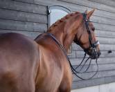 Bride technique Fayperform Presteq