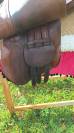 Sella da dressage   17" - 2020