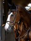Bonnet anti-mouches Sportive Black - Equestrian Stockholm