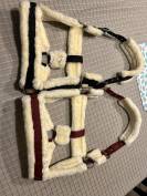 Licol neuf Showmaster