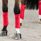 Bandes polaires Velvet Rouge - Kentucky - 280 g/m²
