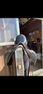 Sella da dressage Prestige Italia  17" - 2022