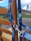 Licol Eurostar Bleu grand cheval