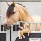 Jouet de box Pégase - IIMPERIAL RIDING