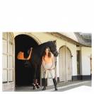 Polo essential SS25 Anky