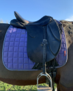 Sella da dressage  Mozart 17.5" - 2016