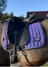 Sella da dressage  Mozart 17.5" - 2016