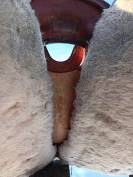 Selle Western de qualit&eacute;