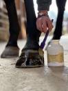 Huile pour sabot Nutri Pied