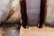 Sangle mouton Marron mouton Marron - KENTUCKY