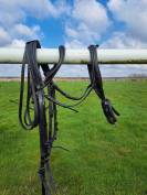 Bride dressage norton noire FS  