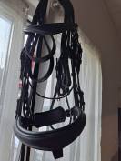 Bride dressage norton noire FS  