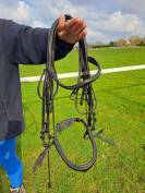 Bride dressage norton noire FS  