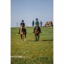 Gilet airbag Airsafe - EQUITHEME