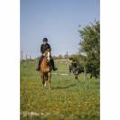 Gilet airbag Airsafe - EQUITHEME