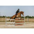 Gilet airbag Airsafe - EQUITHEME