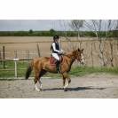Gilet airbag Airsafe - EQUITHEME