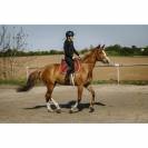 Gilet airbag Airsafe - EQUITHEME