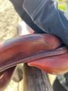 Selle CWD