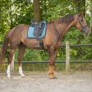 Tapis Micah ocean breeze QHP