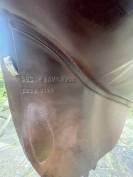 Selle de CSO GBS taille 17 