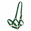 Licol en biothane Tolteam