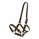 Licol en biothane Tolteam