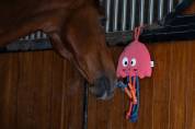 Jouet Pour Chevaux Jellyfish Classic Sports SS25 Eskadron