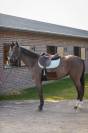 Tapis de selle LOVE Obstacle Menthe - GEM
