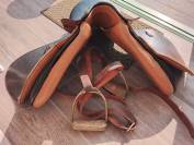 Excellente selle: suisse, FELSBACH Summaprada Husar