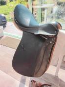 Excellente selle: suisse, FELSBACH Summaprada Husar