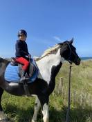 Selle ikonic évolution Line 17’ 