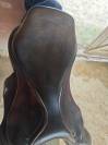 Selle Ikonic 17"
