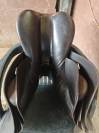 Selle Ikonic 17"