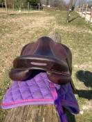 Selle Antares 17.5 2021