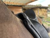 Selle childeric DPL 17,5