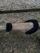 Selle de dressage Bates 