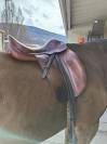 Sella da dressage  Spirig 17.5" - 2015