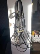 Sella da dressage Ikonic  16" - 2020