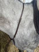 Martingale 