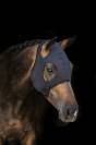 Masque Titanium sans oreilles Lamicell