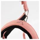 Licol Eevolv Idylle BR