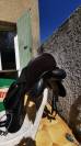 Selle dressage